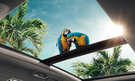 car exterior